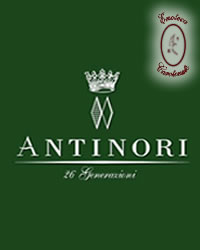 Montenisa Franciacorta Docg Brut Rosè Magnum Marchese Antinori - Marchesi Antinori