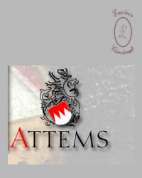 Merlot Attems 2009 - Attems