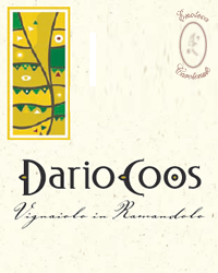 Sauvignon DOP Colli orientali del Friuli 2022 - Dario Coos