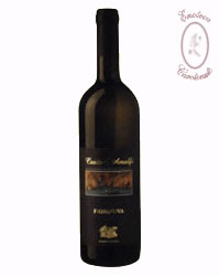 Fior d'uva Furore bianco 2009 - Marisa Cuomo