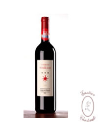 Castello del Terriccio 2001 - 