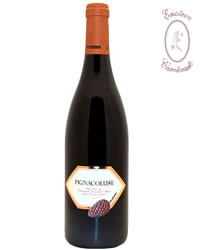 Pignacolusse 2001 - Jermann vinnaioli