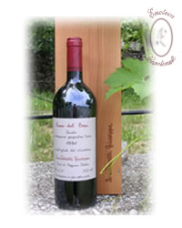 Rosso del Bepi IGT 1999 - Quintarelli Giuseppe