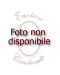 Falanghina del Sannio Svelato 2022 - Terre Stregate